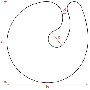 Champagne Size Chart